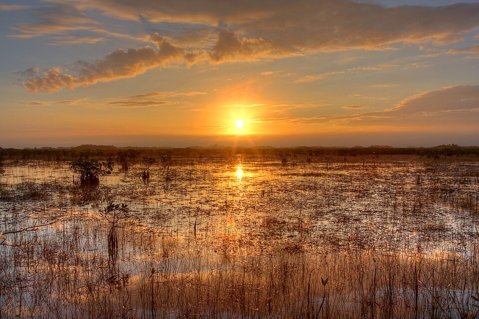 Everglades National Park — Florida